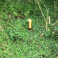 img_20230703_105951.jpeg