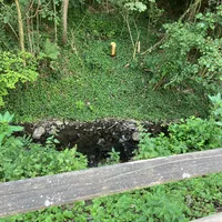 img_20230703_105954.jpeg