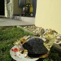 img_9151.jpg