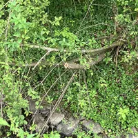 img_20230703_105925.jpeg