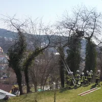 p1020021.jpg